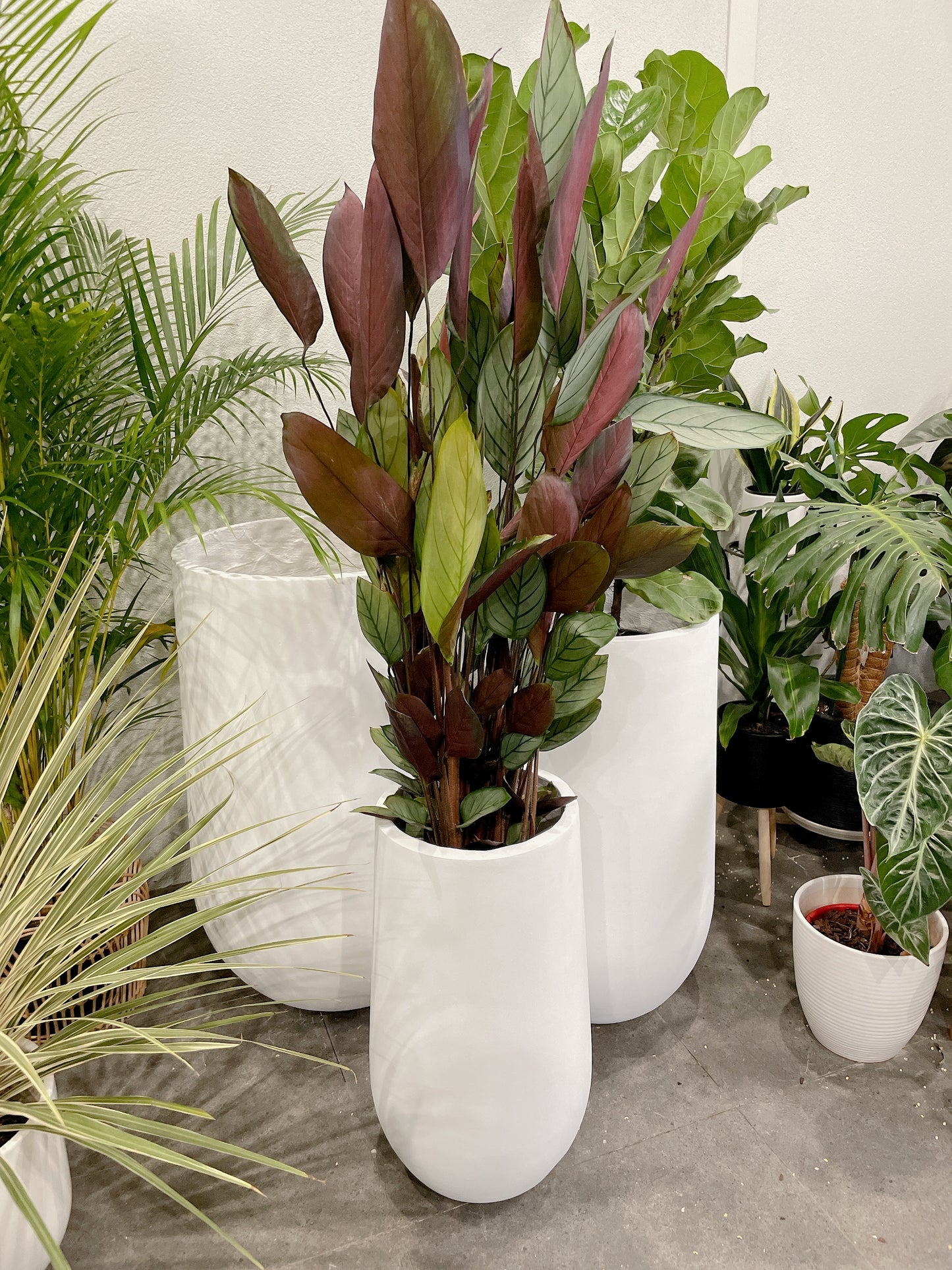 Extra large jumbo size set of 3 Sorrento white pot indoor tall pots planter home&commercial decor