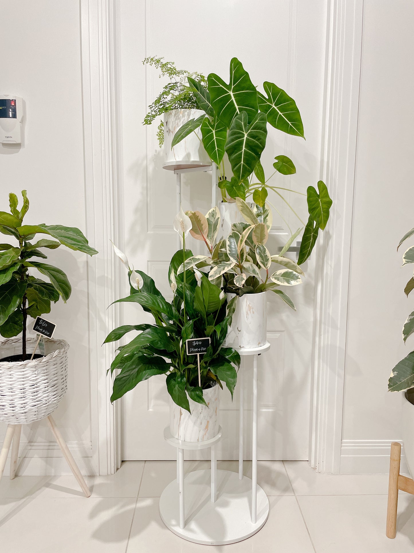 1.23m tall plant stand timber metal stand pot holder round base STAND ONLY PLANTS NOT INCLUDED