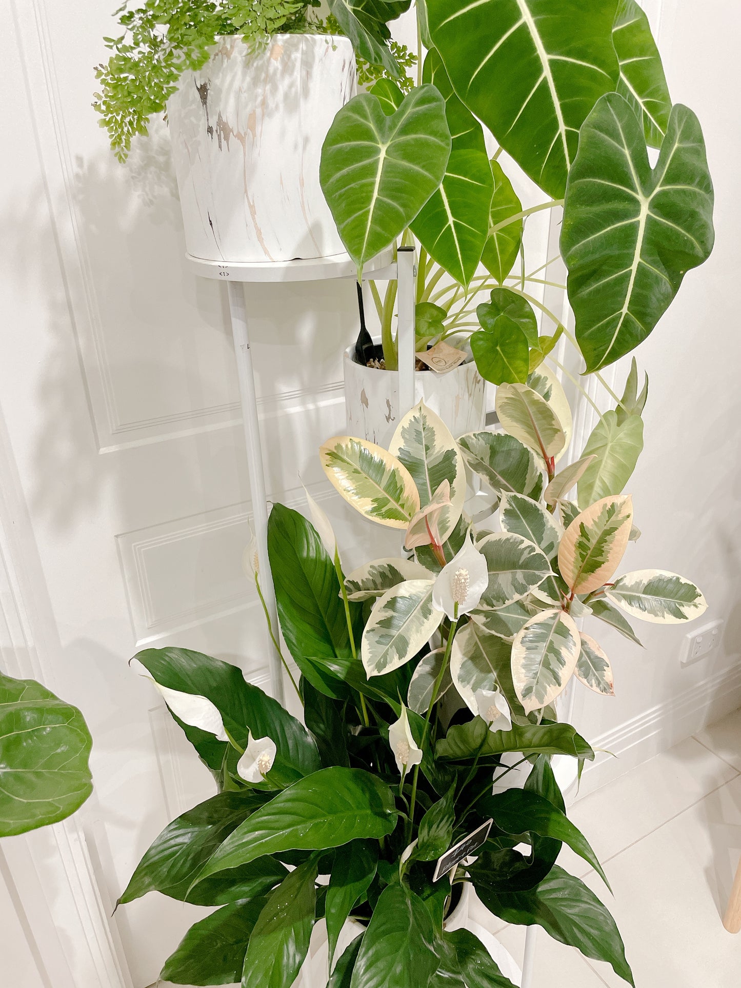 1.23m tall plant stand timber metal stand pot holder round base STAND ONLY PLANTS NOT INCLUDED