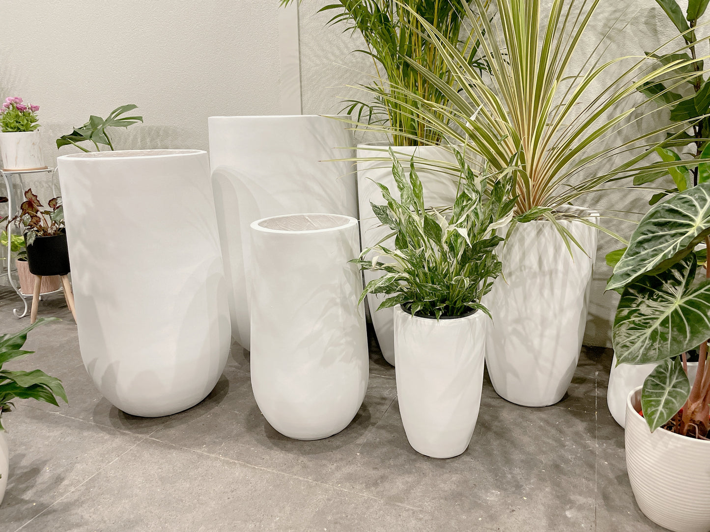 Bundle Set of 3 Winston U-Shape large White Fiberclay Pots various size patio delivery available