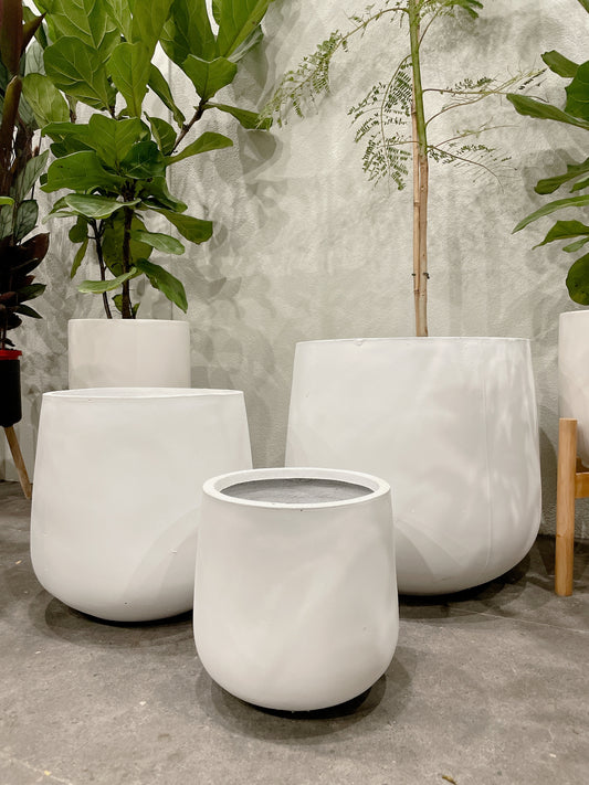 set of 3 @25-33-45fiberclay drum pots ONLY PLANTS NOT INCLUDED