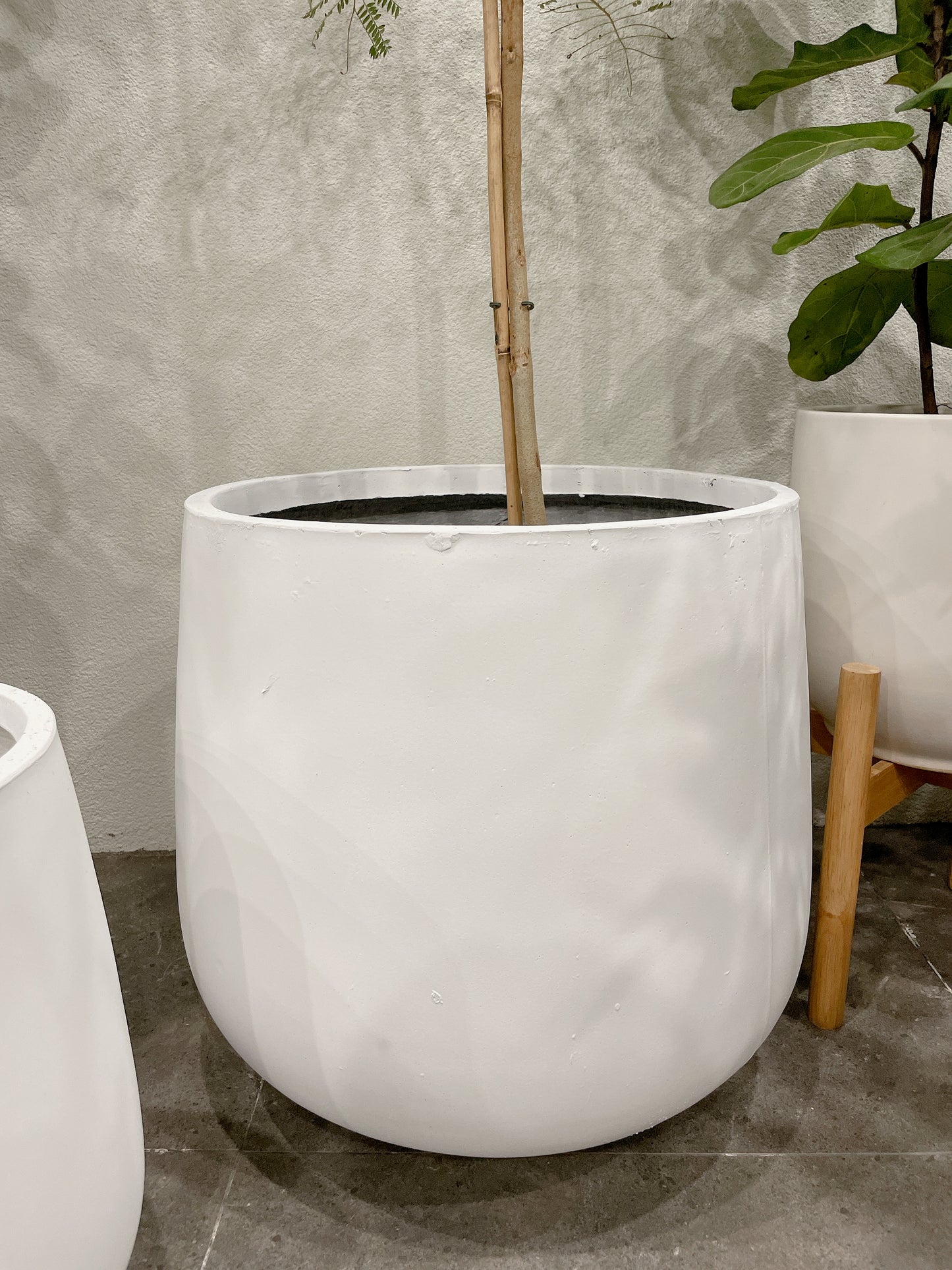 set of 3 @25-33-45fiberclay drum pots ONLY PLANTS NOT INCLUDED