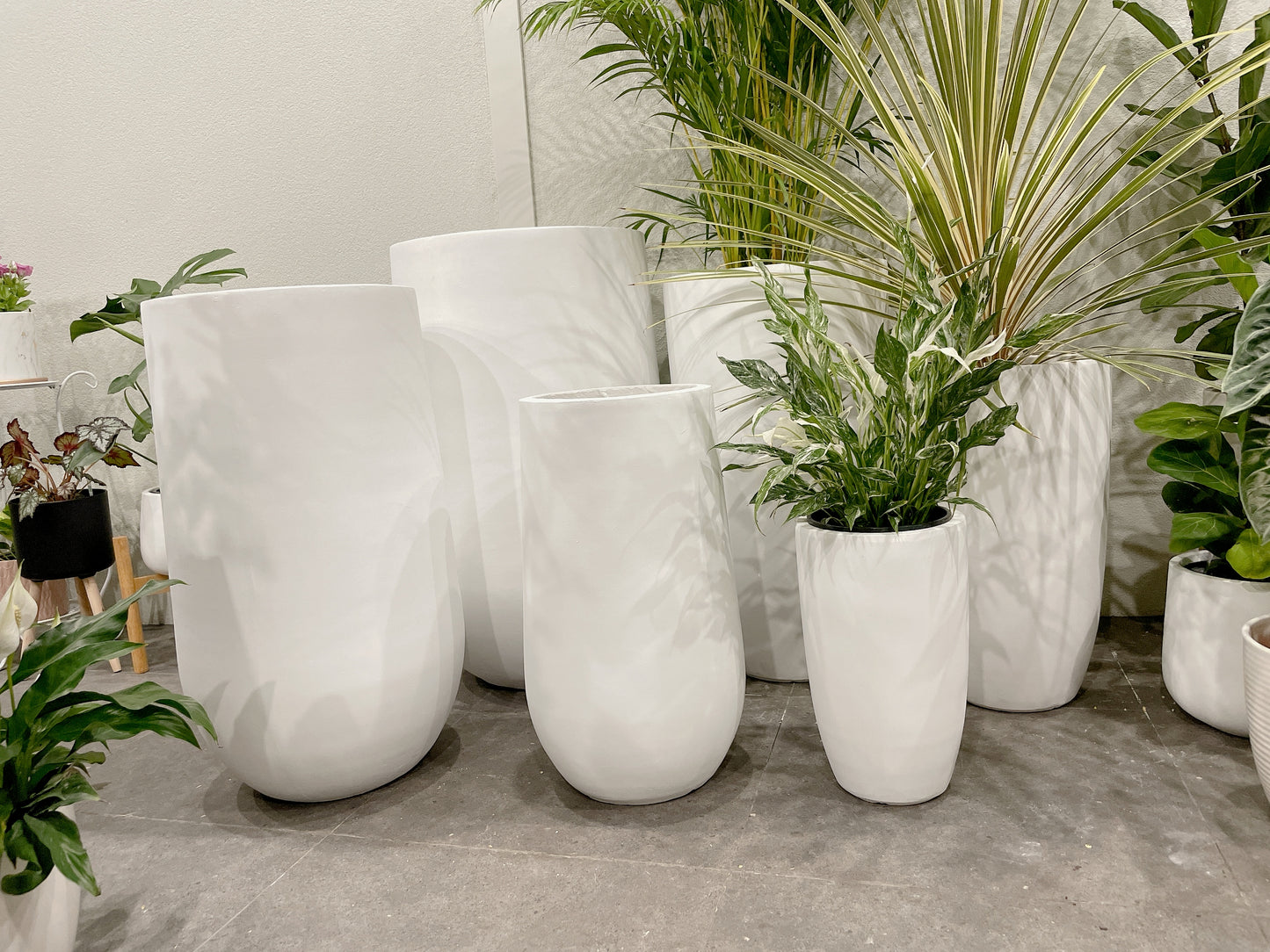 Bundle Set of 3 Winston U-Shape large White Fiberclay Pots various size patio delivery available