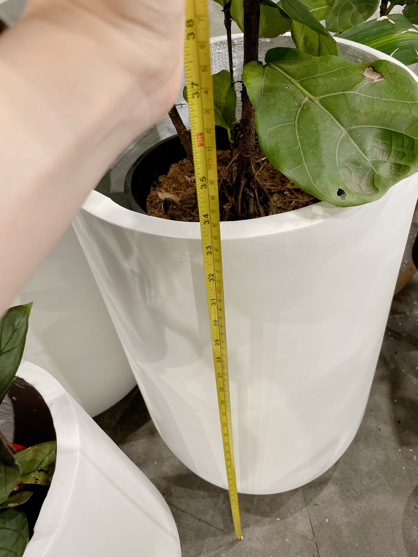 Extra large jumbo size set of 3 Sorrento white pot indoor tall pots planter home&commercial decor