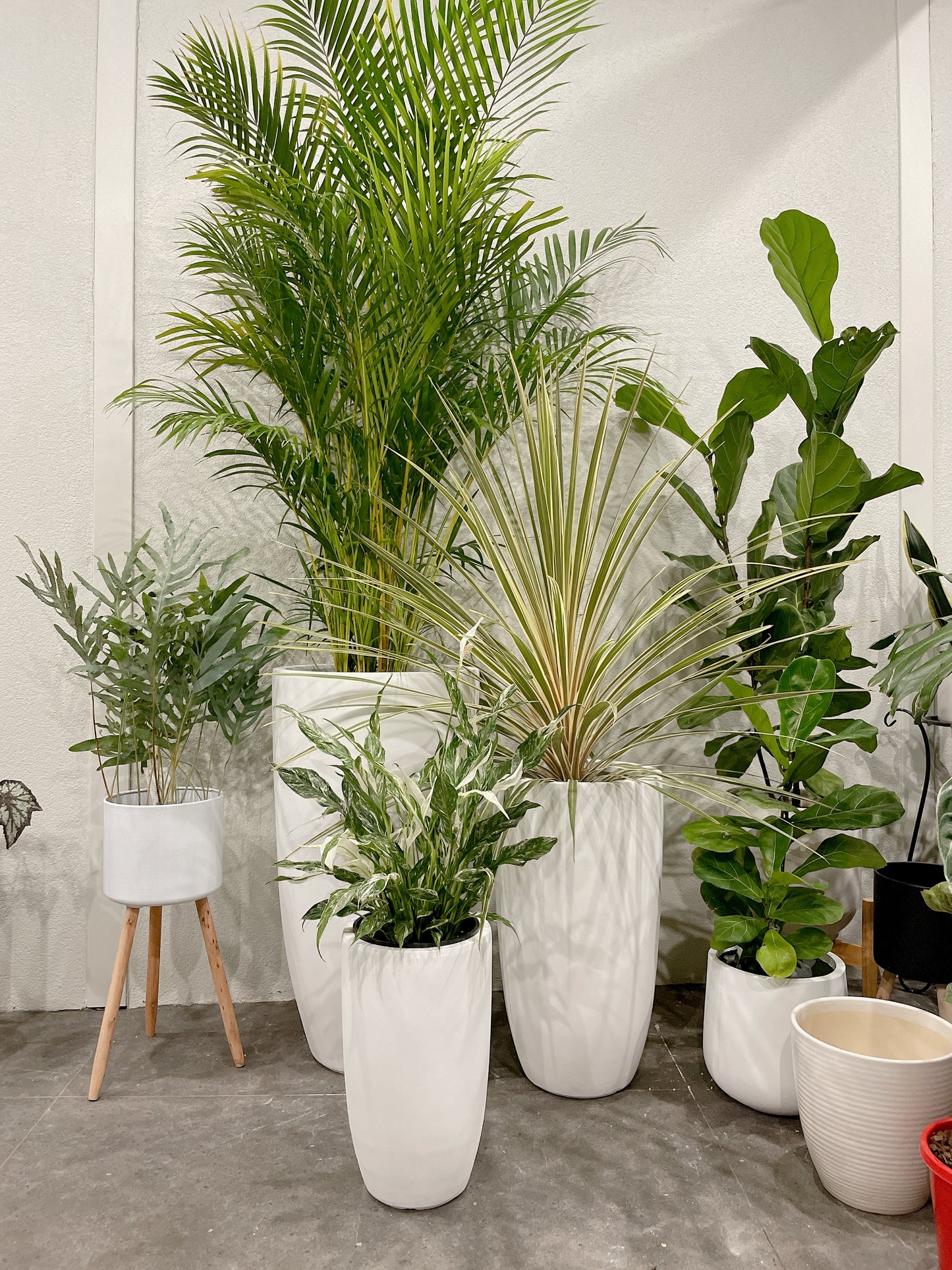 Bundle Set of 3 Winston U-Shape large White Fiberclay Pots various size patio delivery available