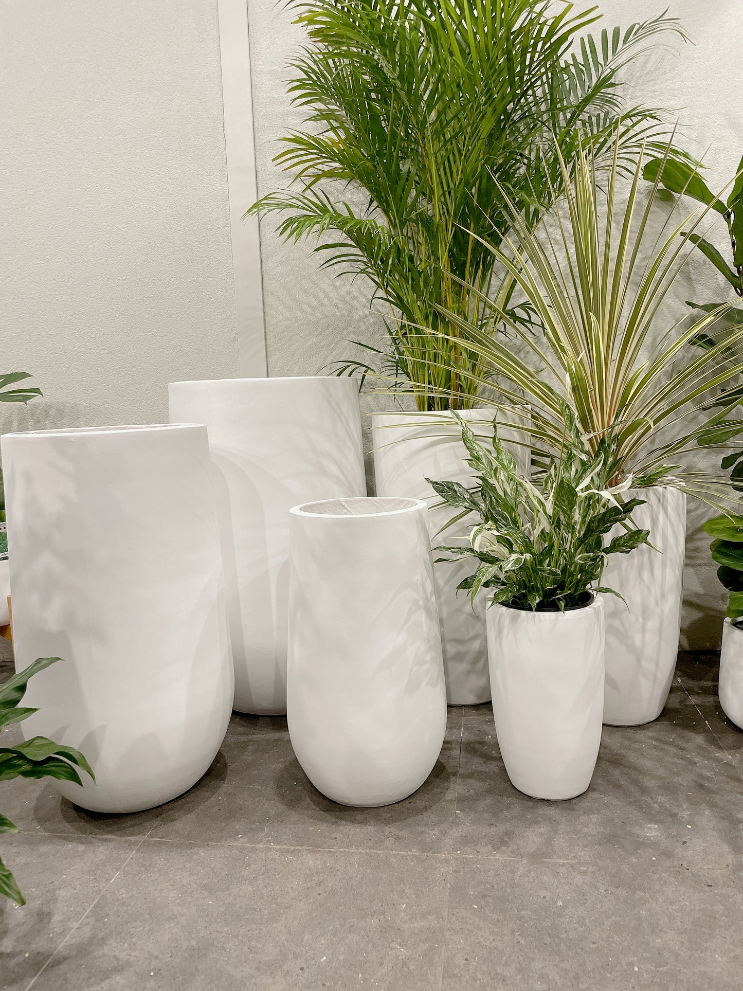Bundle Set of 3 Winston U-Shape large White Fiberclay Pots various size patio delivery available