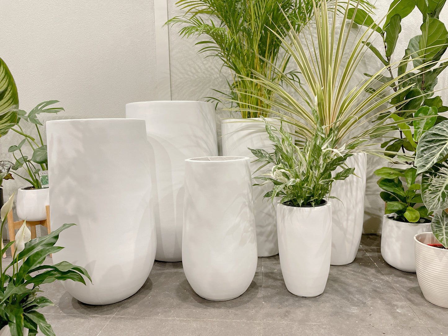 Bundle Set of 3 Winston U-Shape large White Fiberclay Pots various size patio delivery available