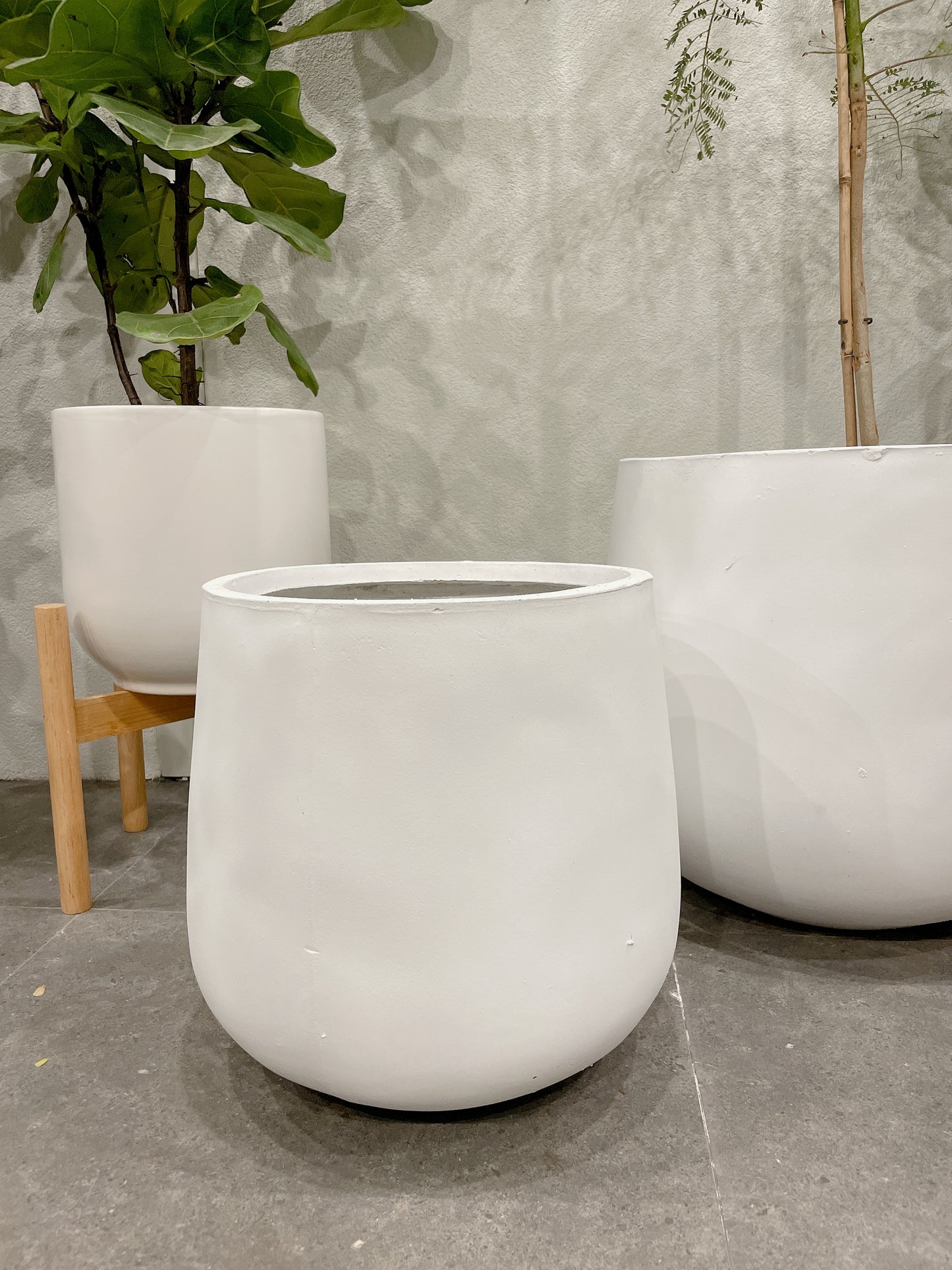 set of 3 @25-33-45fiberclay drum pots ONLY PLANTS NOT INCLUDED