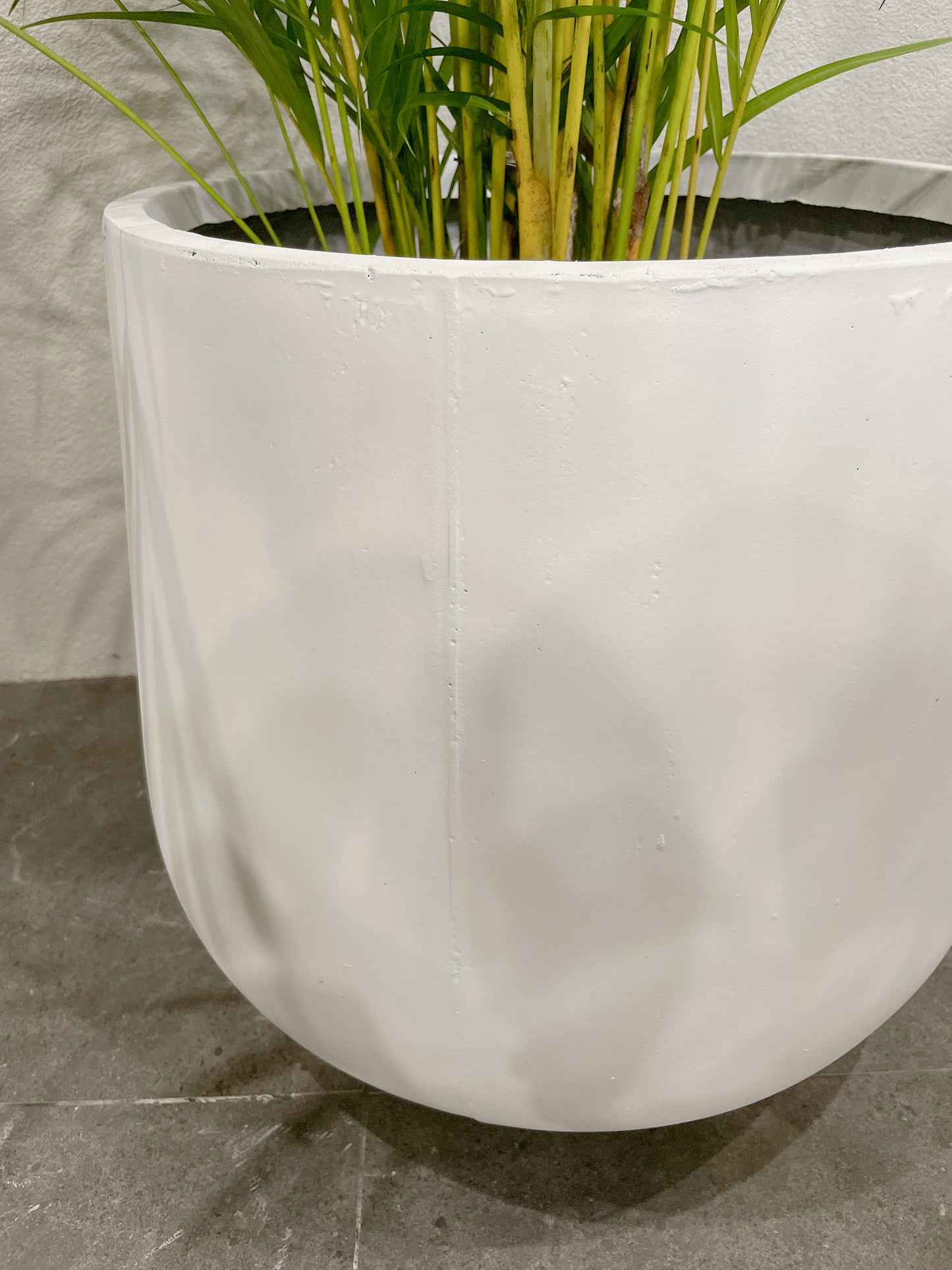 set of 3 @25-33-45fiberclay drum pots ONLY PLANTS NOT INCLUDED