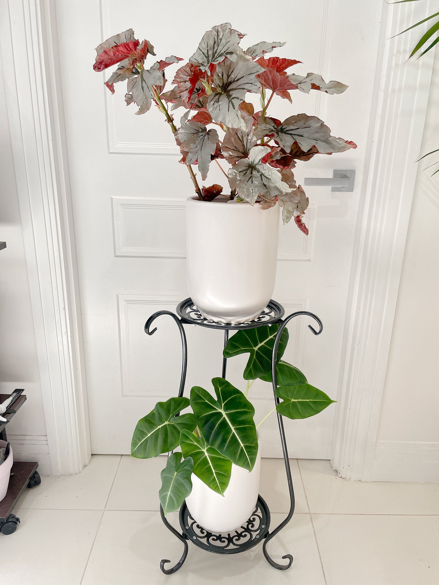 1xSTAND ONLY* PLANTS NOT INCLUDED 2tier stand planter holder lightweight metal BRAND NEW