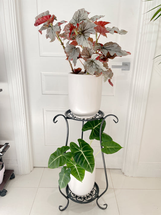 1xSTAND ONLY* PLANTS NOT INCLUDED 2tier stand planter holder lightweight metal BRAND NEW