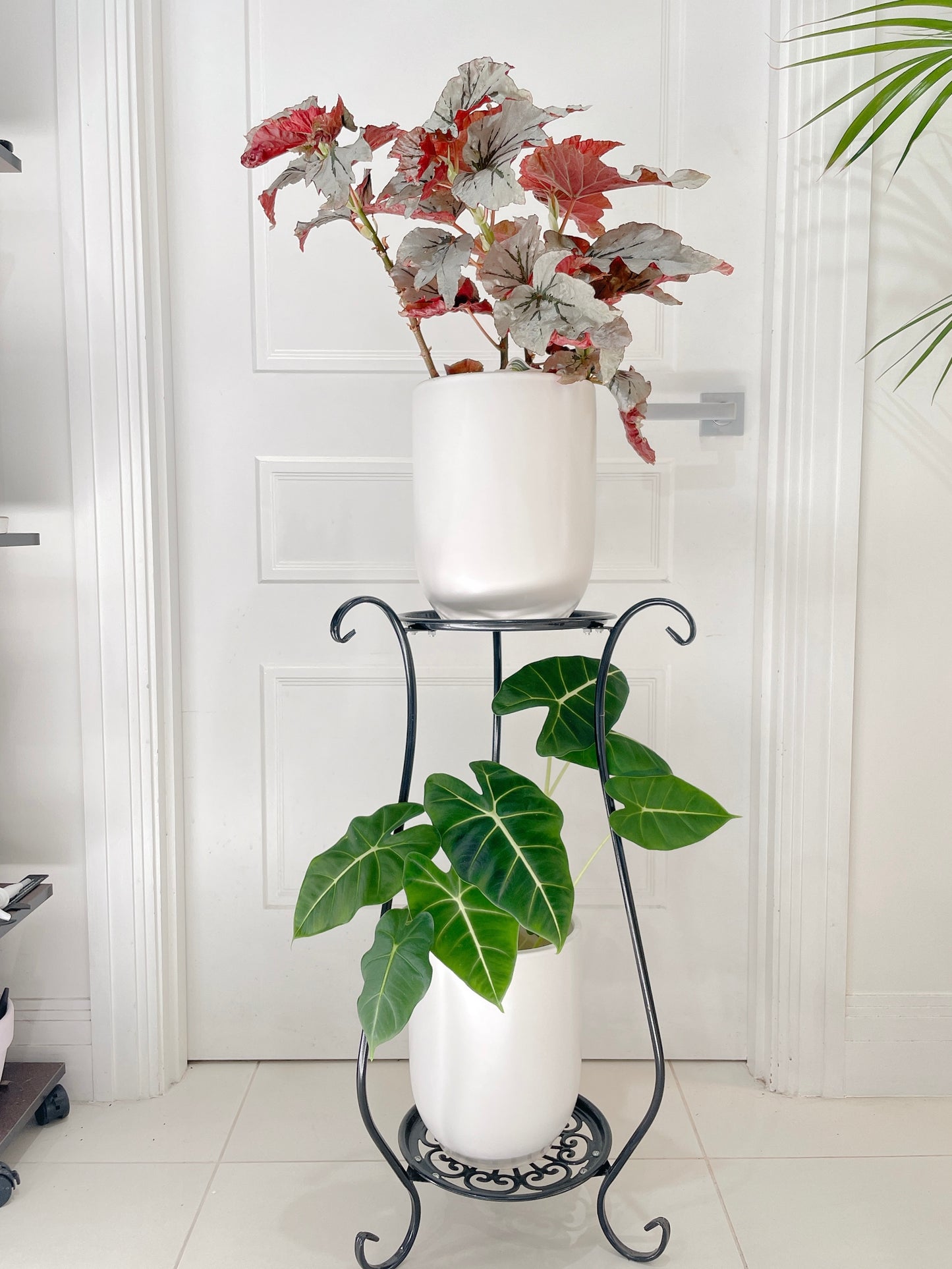 1xSTAND ONLY* PLANTS NOT INCLUDED 2tier stand planter holder lightweight metal BRAND NEW