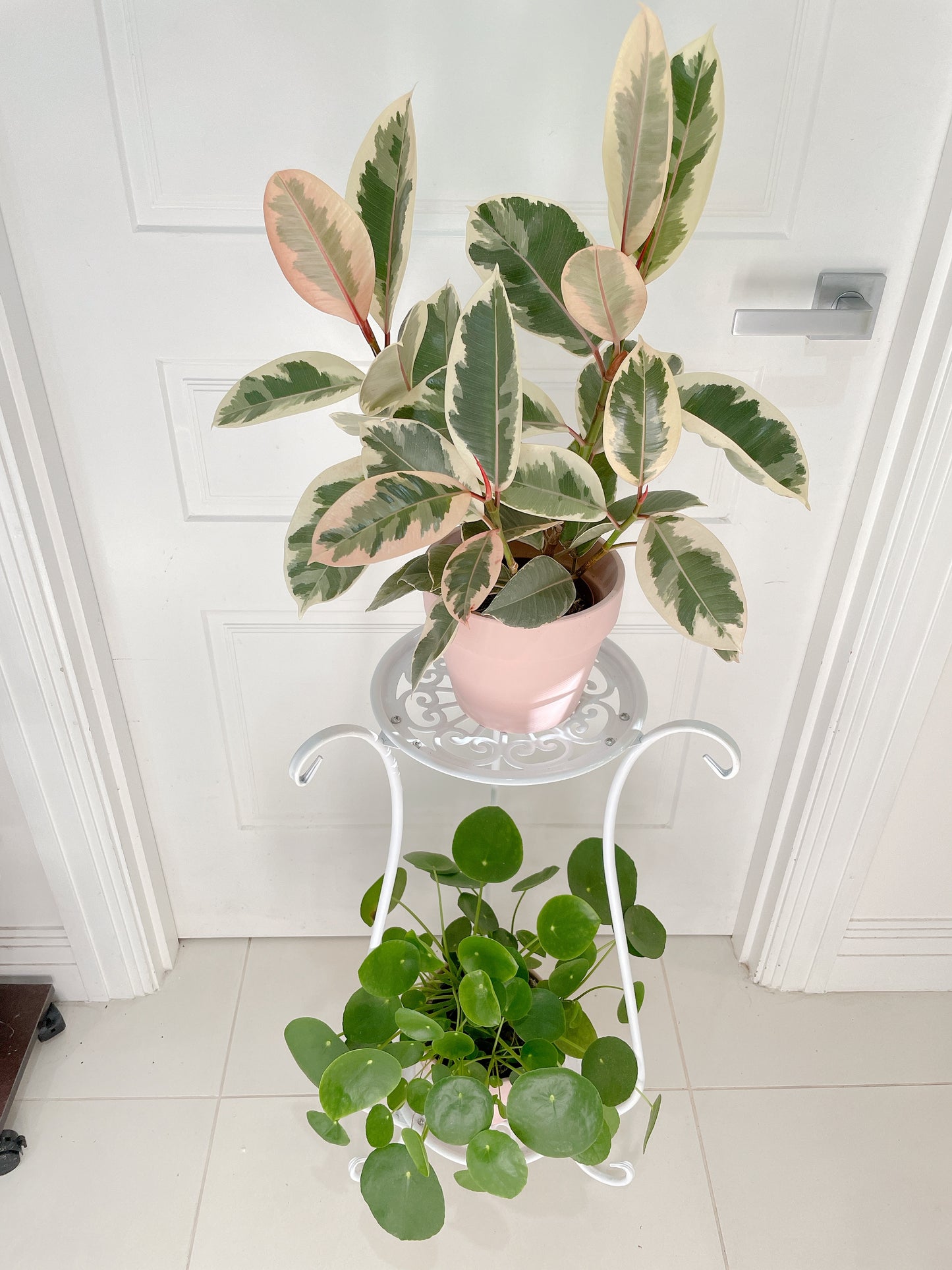 1x White STAND ONLY* PLANTS NOT INCLUDED 2tier stand planter holder lightweight metal BRAND NEW